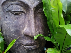 buddha, nature, plants, zen