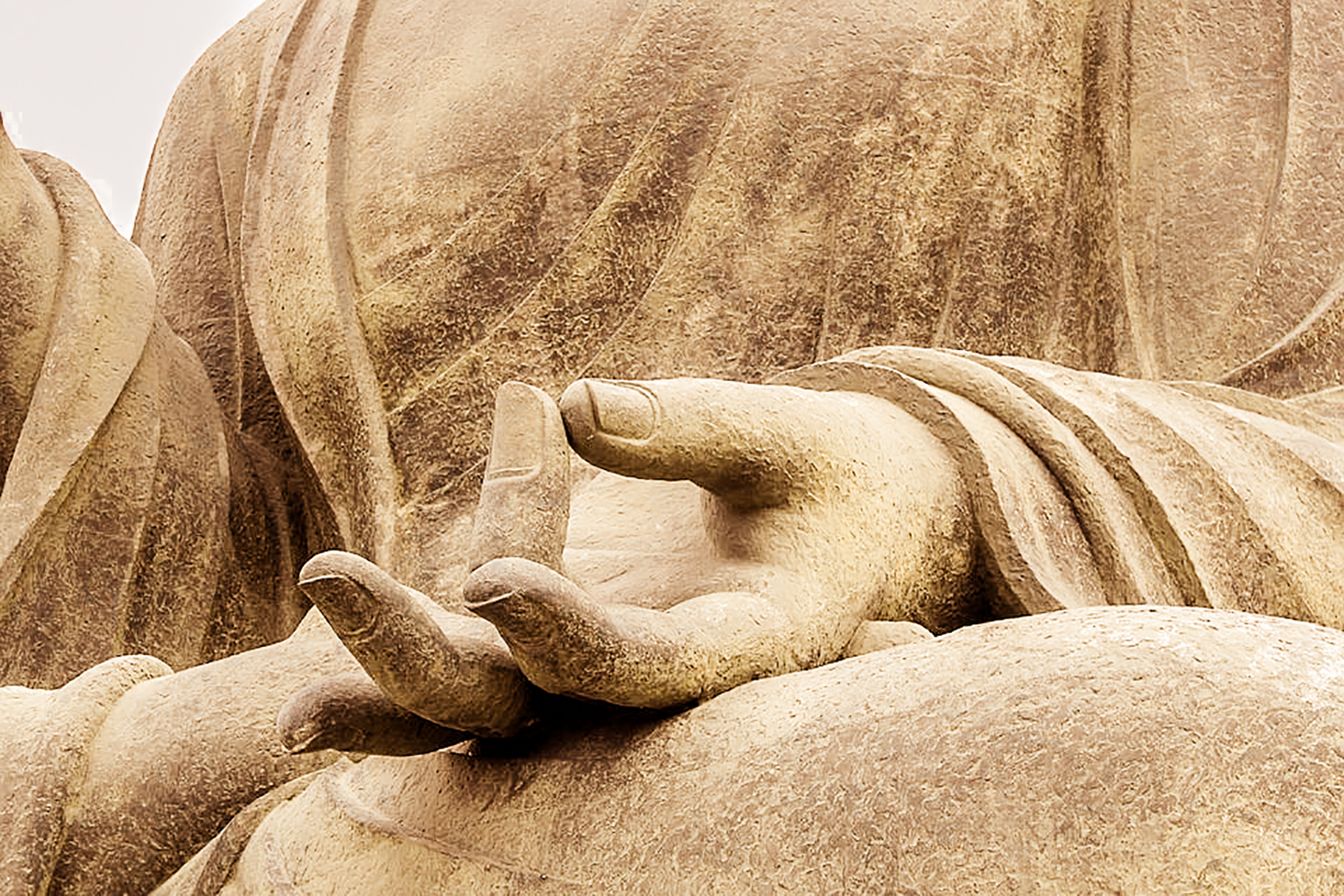 Zen Day May 7 2022: How to get Peace"